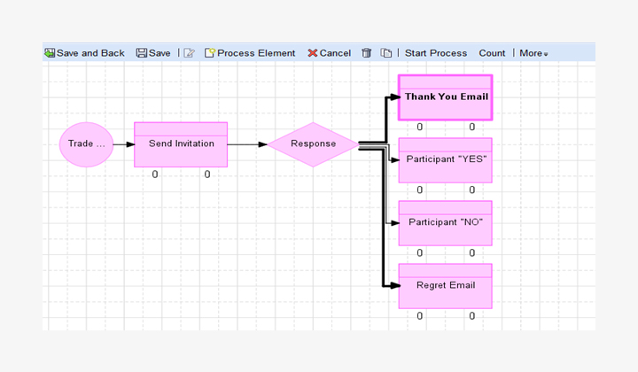 Campaign Process