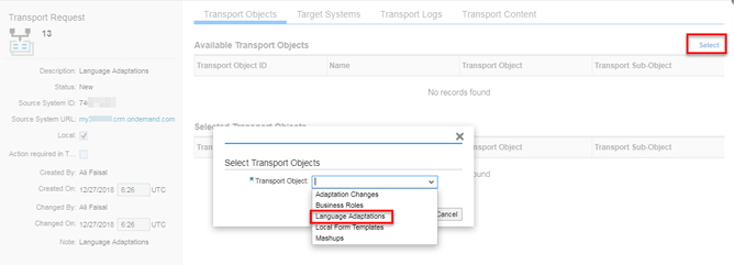 C4hana Language Adaptation