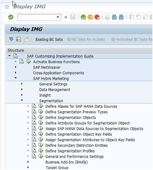 Assign SAP HANA data sources to Segmentation objects