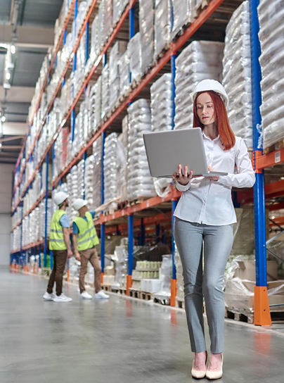 Wholesale & Distribution