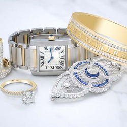 Jewelry and Watches Management Software